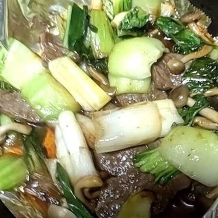 野菜と肉のプライパン炒め